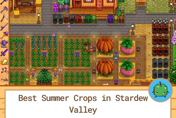 Best stardew summer crop