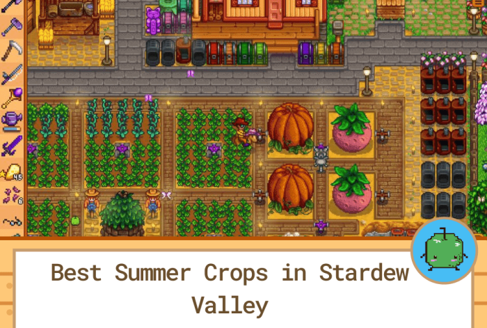 Stardew best summer crop