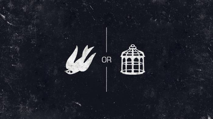 Bird or the cage bioshock