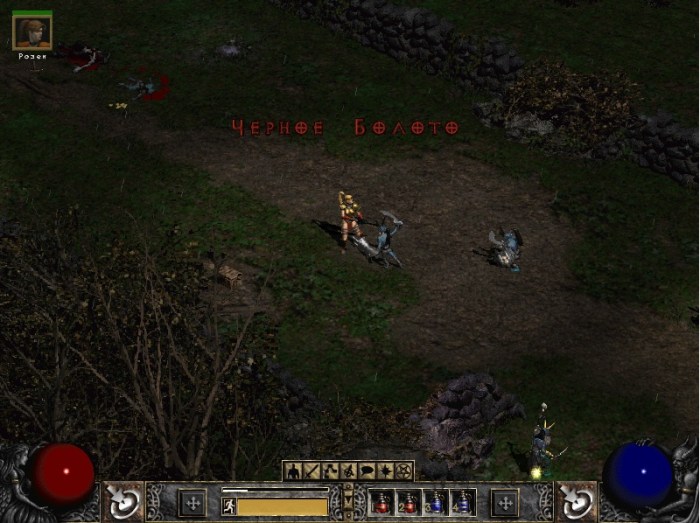 Diablo 2 black marsh