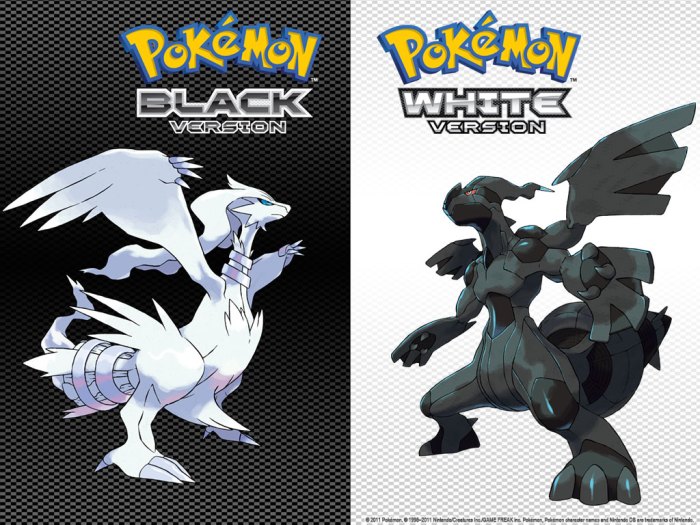 Black white pokemon rom