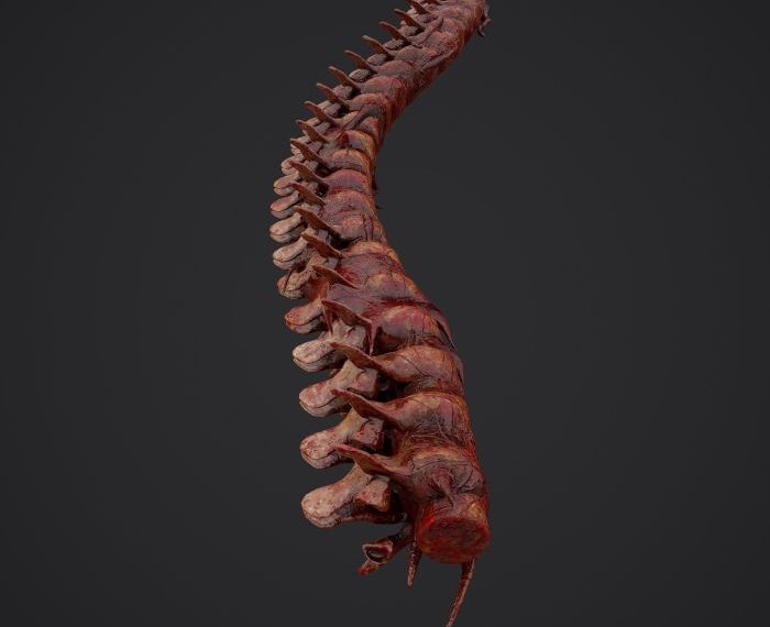 How to make bloody spine