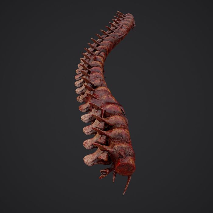 How to make bloody spine