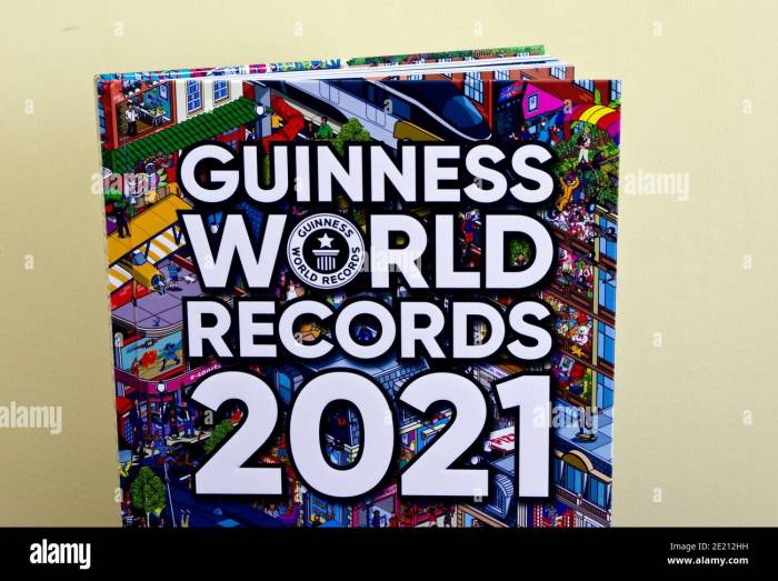 World record book 2008