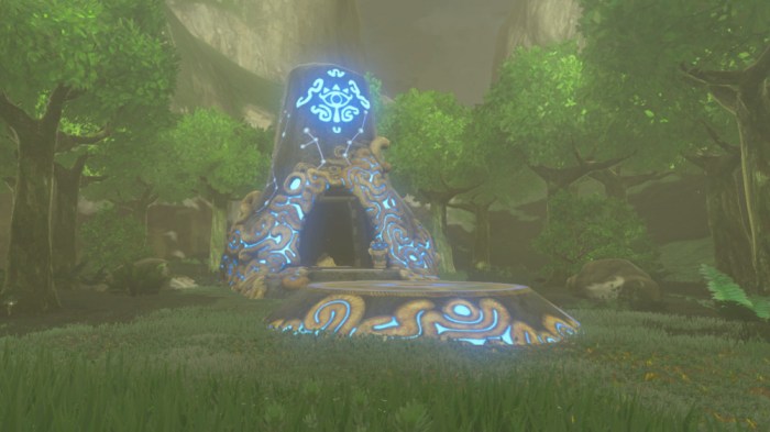 Botw blue flame shrine