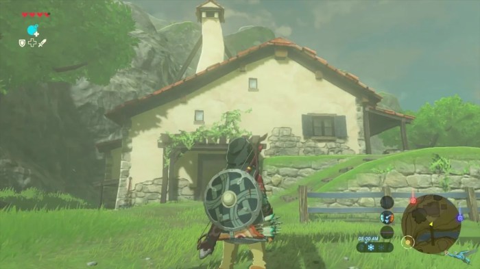 Botw how to get a house