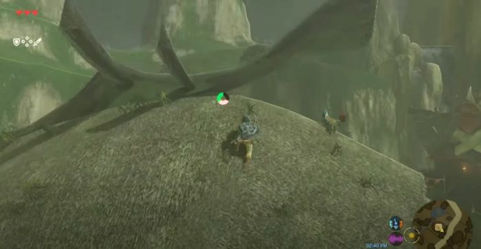 Flown the coop zelda