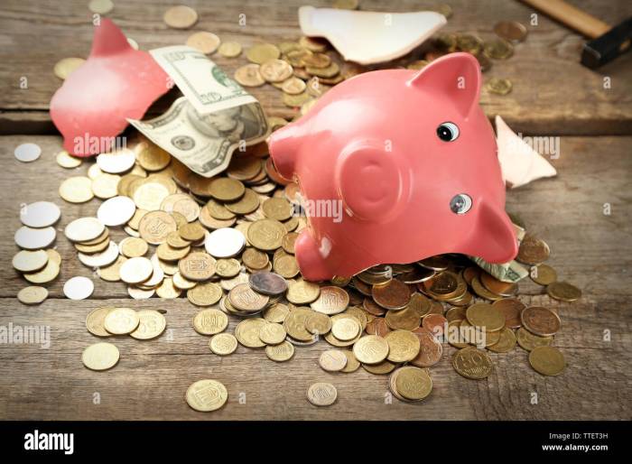 Piggy bank with cash