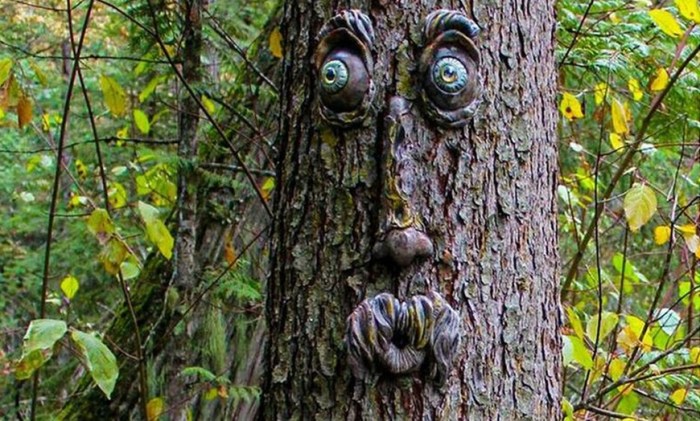 Old man face in tree