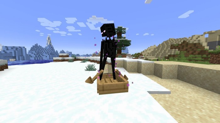 Enderman kill