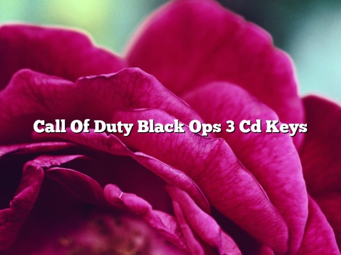 Ops duty call cd cod steam top