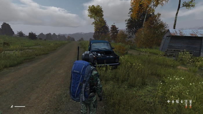 How to get a car in dayz