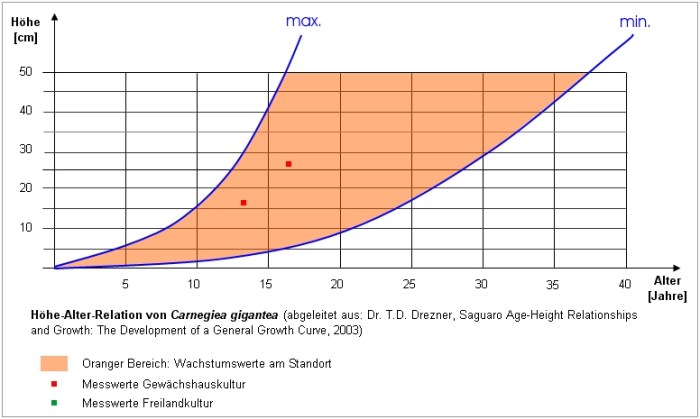 Growth rate of cactus