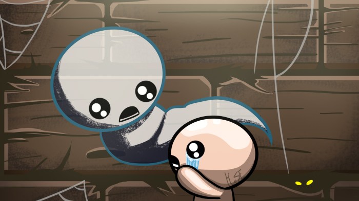 Binding of isaac the lost