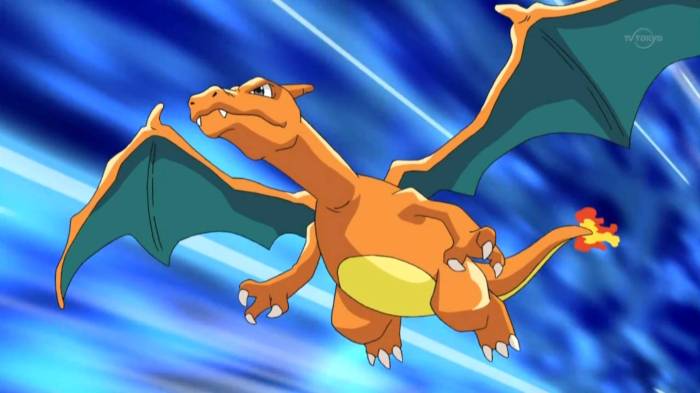 Charizard pokemonduel