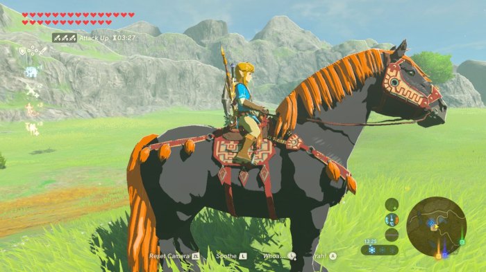 Botw royal horse name