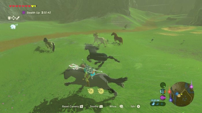 Zelda totk horse stats