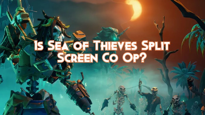 Is sea of thieves co op