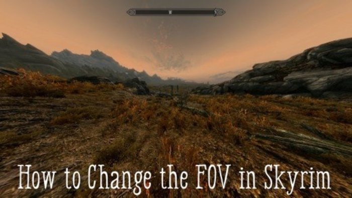 Skyrim fov change