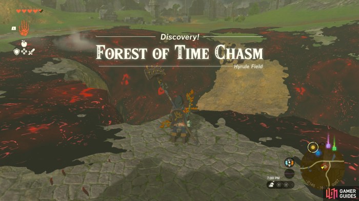 Chasm forest formerly transport route important now gamepedia
