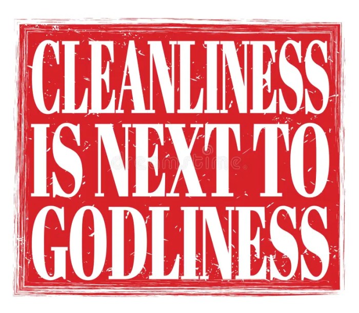 Godliness cleanliness next dickens charles some same their people do quote religion wallpapers quotefancy wallpaper