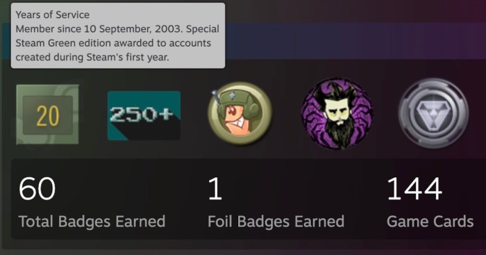 20 years steam badge
