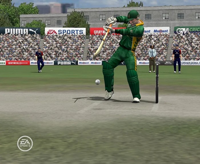 Cricket 07 game download