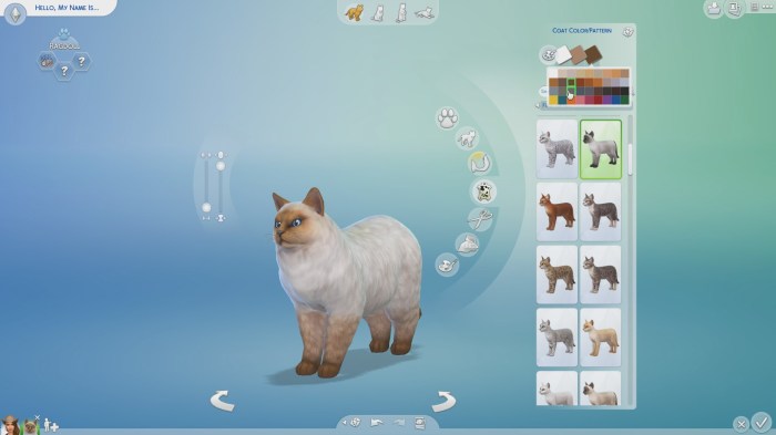 How to adopt a cat sims 4