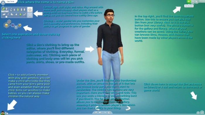 How to make another sim