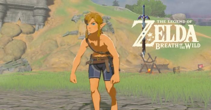 Crouching link zelda embed