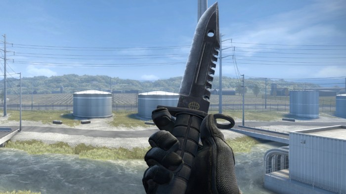 Cs go drop knife command