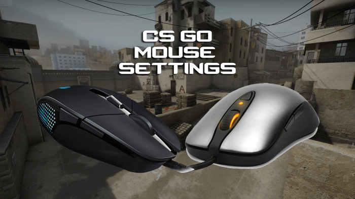 Cs mouse go pro settings players csgo sensitivity