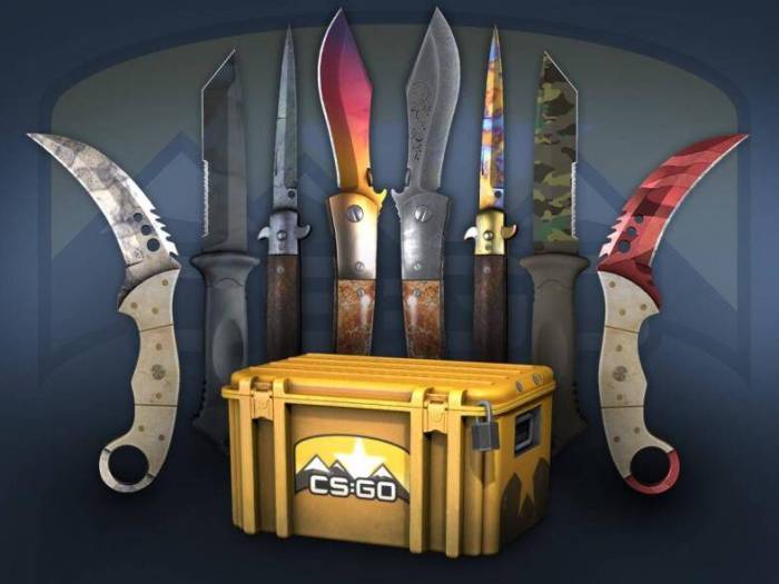 Cases cs go