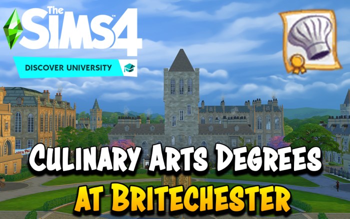 Sims 4 fine arts degree