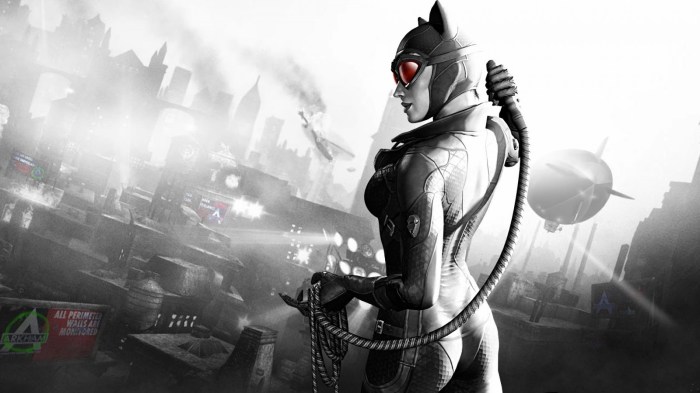 Catwoman loot arkham city