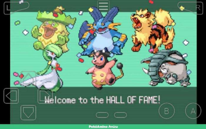 Good team pokemon emerald