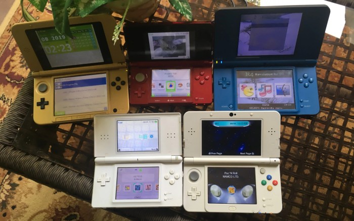 How to homebrew a dsi
