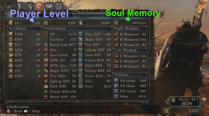 Dark souls 2 max level