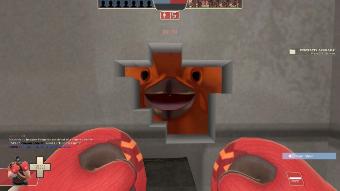 Tf2 can't see sprays