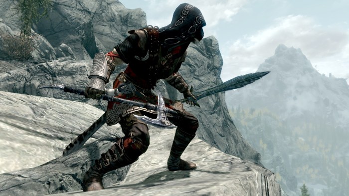 Skyrim dual wield build