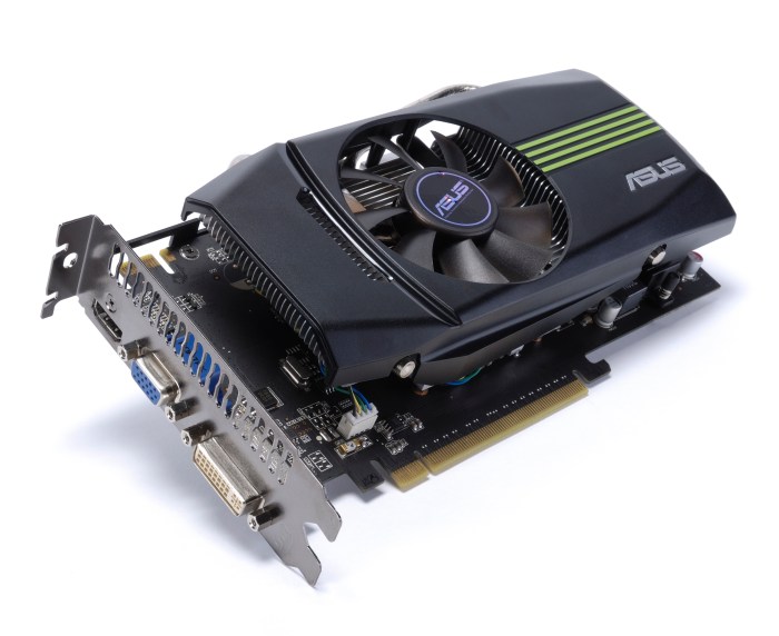 Directx 10 graphics card