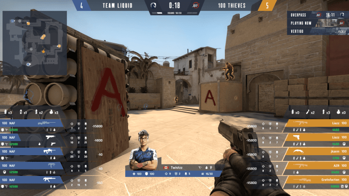 Cs go hud disappeared