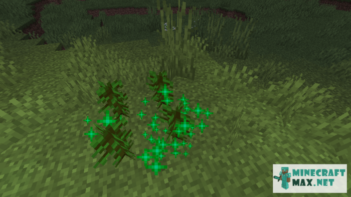 Jungle seed in minecraft