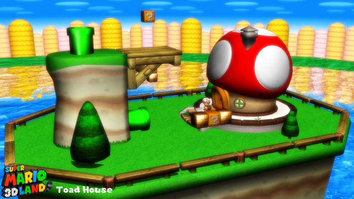 Toad house mario wii