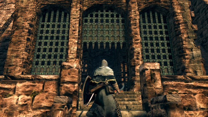 Lake ash souls dark places wiki locations game scenery atmosphere fextralife area darksouls walkthrough