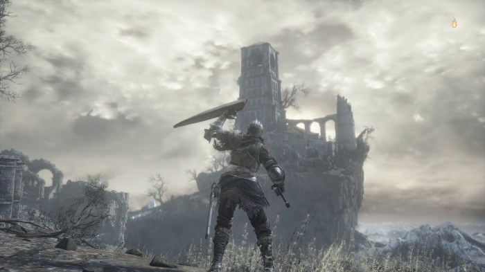 Dark souls 3 the crow