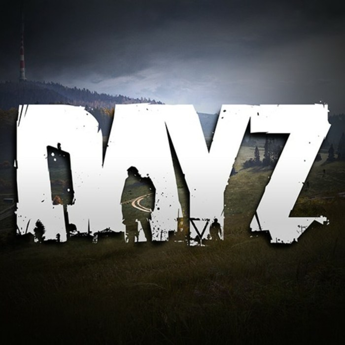 Where is dayz based