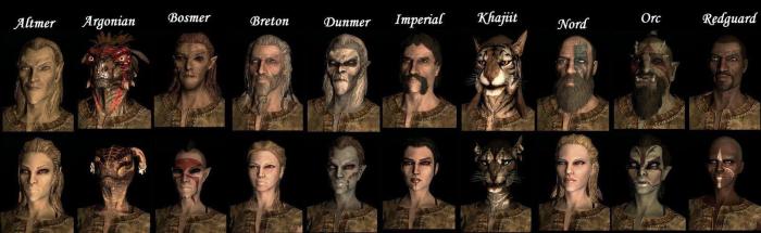 Best class for skyrim