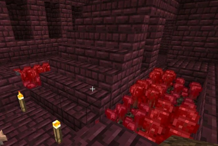 Nether wart farm design