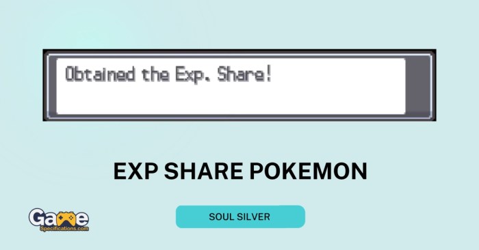 Exp share soul silver